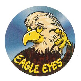 CHILDRENS STICKERS - EAGLE EYES