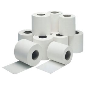 2 PLY WHITE 320 SHEETS TOILET ROLL x 36